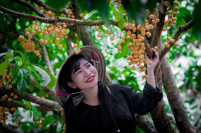 Thông tin cần biết về Vĩnh Long để có chuyến đi thuận lợi 3
