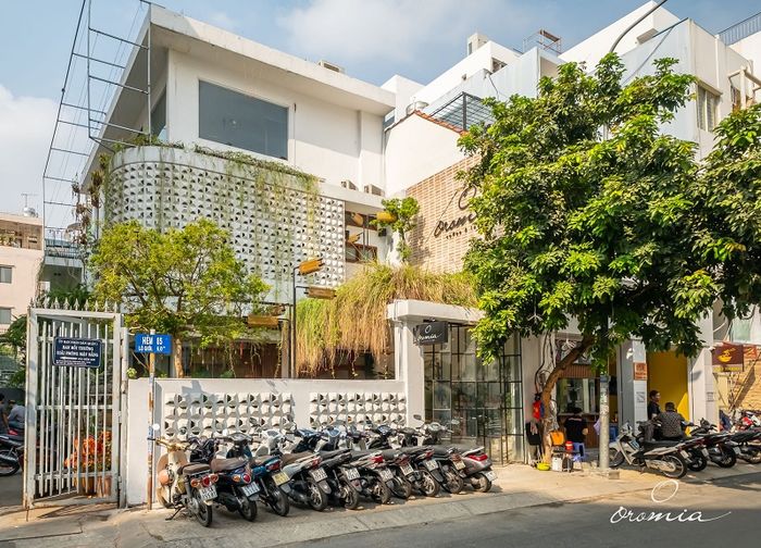 Top những quán cafe thư giãn ở Sài Gòn để trải nghiệm một ngày bình yên