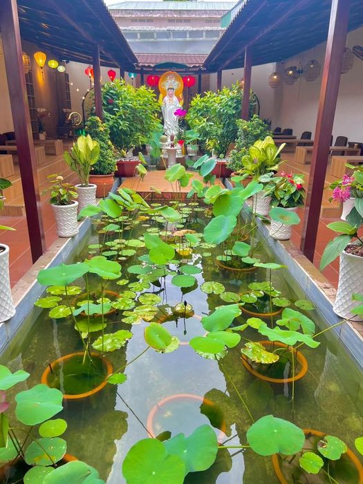 Tịnh Bình Chay, nơi giúp tâm hồn bạn thêm phần thư thái