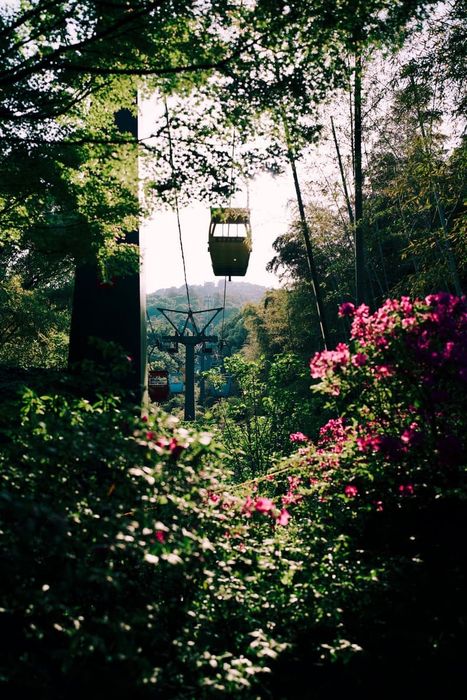 Trải nghiệm văn hóa sông nước độc đáo của Giang Tô 5