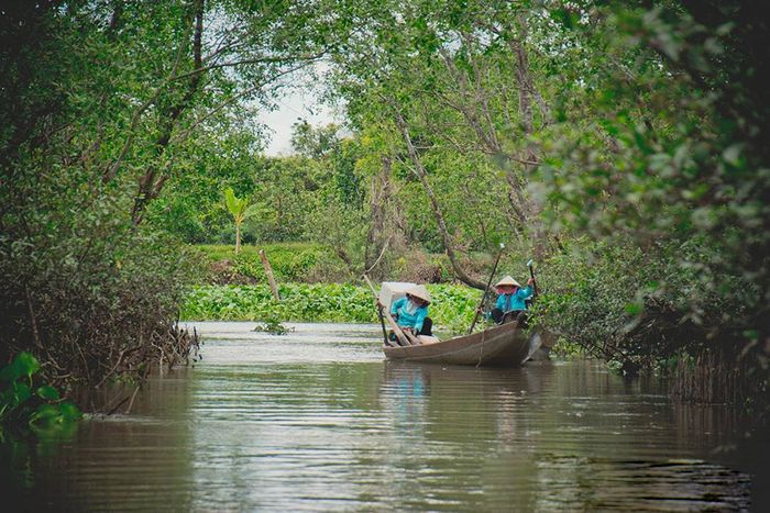 Top 2 Cù Lao Vĩnh Long - Vẻ Đẹp Đậm Chất Miệt Vườn Nam Bộ