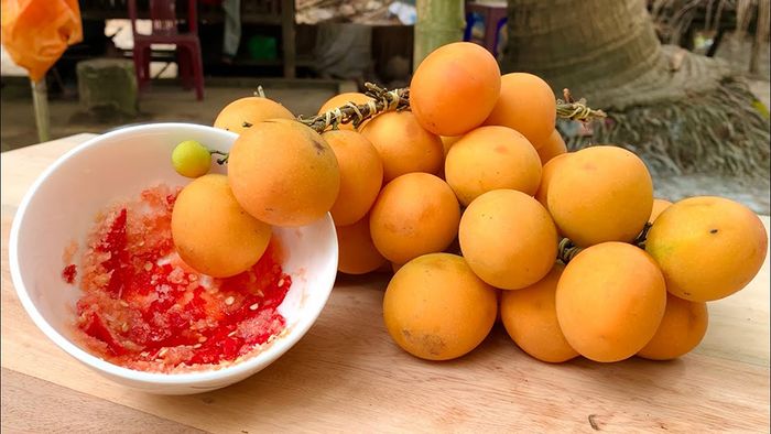 Khám phá sự độc đáo của mùa thanh trà ở xứ Bình Minh, Vĩnh Long