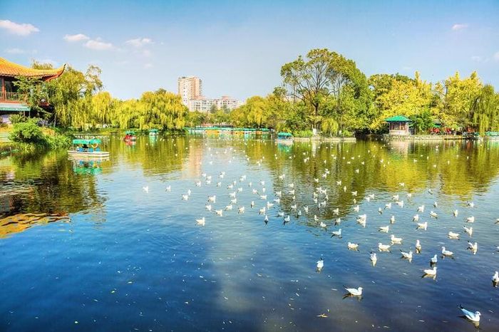 Tìm về Côn Minh, thưởng ngoạn vẻ đẹp của thành phố mùa xuân dưới ánh nắng ấm 7