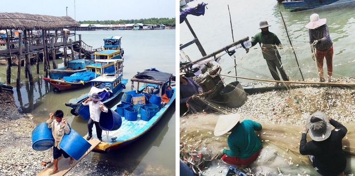 Khám phá Làng bè Long Sơn với trải nghiệm ẩm thực và cuộc sống bình dị 7