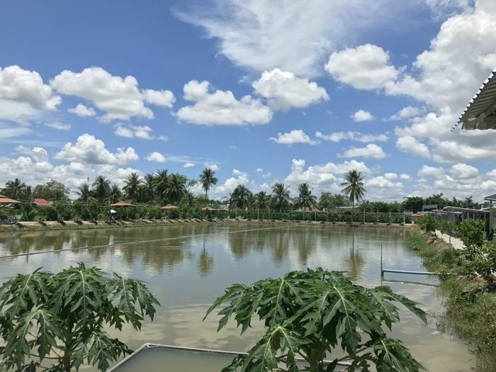 Hồ câu Ái Vy mở ra lối vào thiên nhiên