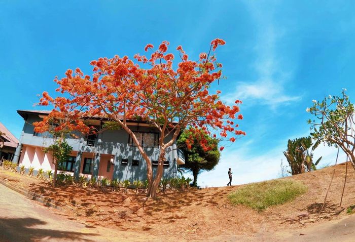 Bình yên ở làng chài Lộc An Vũng Tàu giữa nhịp sống của thành thị 3