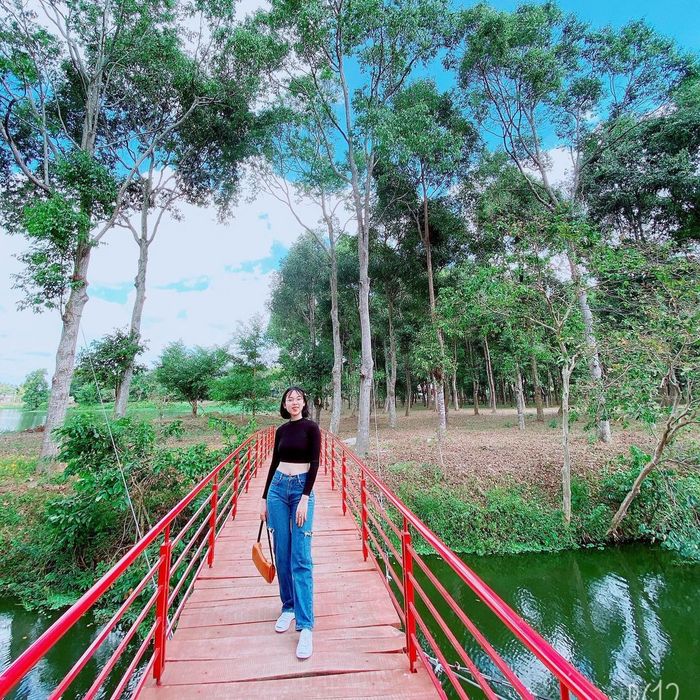 Khám phá Hồ Bàu Sen Vũng Tàu - Điểm đến du lịch sinh thái hàng đầu thành phố Vũng Tàu.