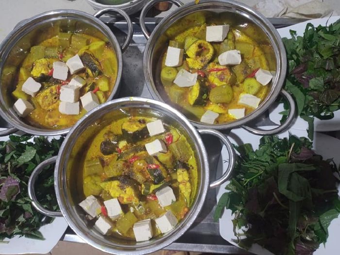 Khám phá Hồ Bàu Sen Vũng Tàu - Điểm du lịch sinh thái nổi tiếng của Vũng Tàu