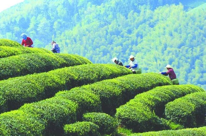 Trải nghiệm vẻ đẹp hùng vĩ của núi non và dòng sông ở Chiết Giang, Trung Quốc