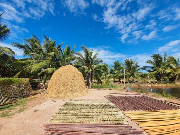 Khám phá sông nước miệt vườn miền Tây 5 tại Cồn Chim, Trà Vinh