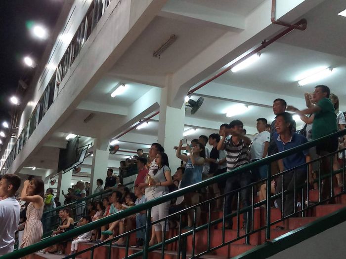 Trường đua chó Vũng Tàu - Điểm tham quan độc đáo, thú vị bạn không nên bỏ qua 11