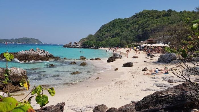 Đảo san hô Koh Larn, một thiên đường biển trong xanh tại Pattaya 8