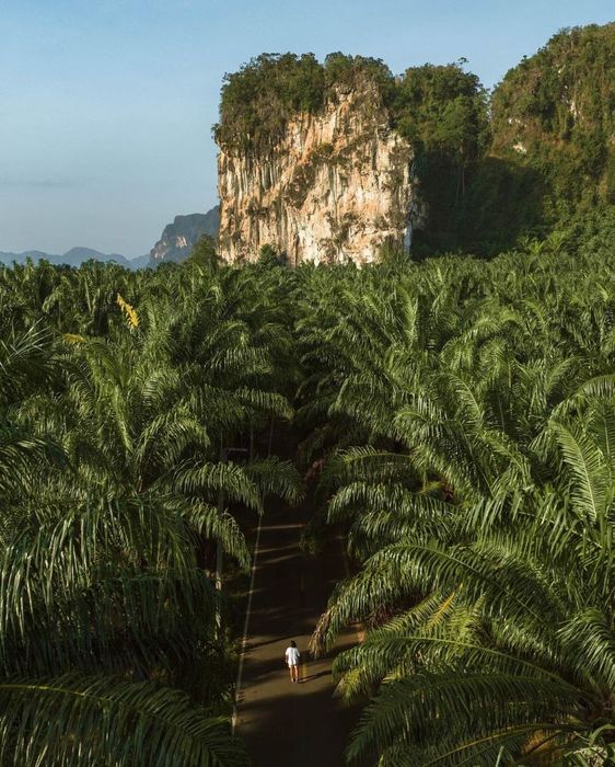 Khám phá vẻ đẹp lãng quên của Krabi Thailand 15