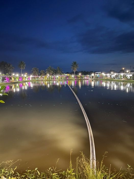 Hồ câu Ái Vy mở ra con đường kết nối với thiên nhiên