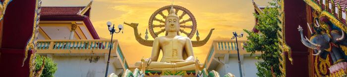 Thưởng ngoạn sắc màu rực rỡ của chợ hoa và kiểng ở thành phố Vĩnh Long.