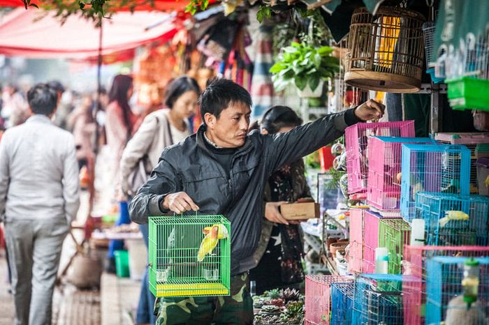 Tìm đến Côn Minh, ngắm thành phố mùa xuân với nắng ấm 11