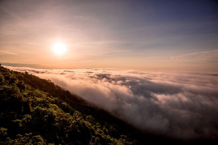 Top những điểm chụp ảnh đẹp ở Tây Ninh chắc chắn sẽ làm say lòng tín đồ 'sống ảo'