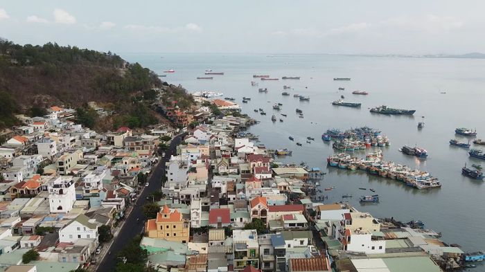 Chợ Bến Đá Vũng Tàu và những trải nghiệm độc đáo tại một trong những điểm đến hải sản hàng đầu Vũng Tàu 2