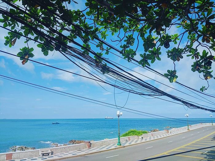 Bãi Dứa Vũng Tàu - Vẻ đẹp dịu dàng, e ấp của vùng biển hoang sơ 3