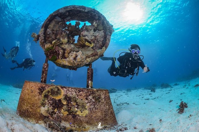 Koh Similan, vùng đất thần tiên dưới biển Thái Lan 11