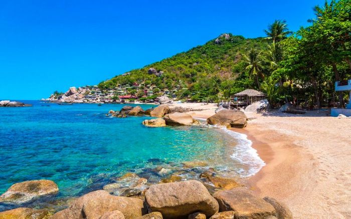 Koh Tao - điểm đến lặn biển hàng đầu của Thái Lan 7