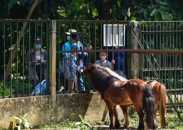 Khám phá Thảo Cầm Viên Sài Gòn, nơi lưu giữ ký ức tuổi thơ của nhiều thế hệ 3