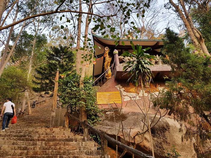 Chinh phục Núi Thị Vải Vũng Tàu – Địa điểm trekking không thể bỏ qua của dân mê phượt 5