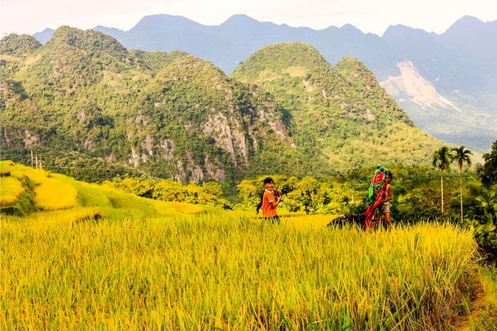 Khám phá Pù Luông Thanh Hóa với vẻ đẹp bình yên, giản dị