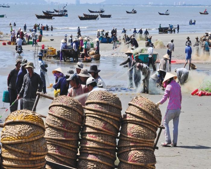 Khám phá một ngày tại làng cá Long Hải, Vũng Tàu 3