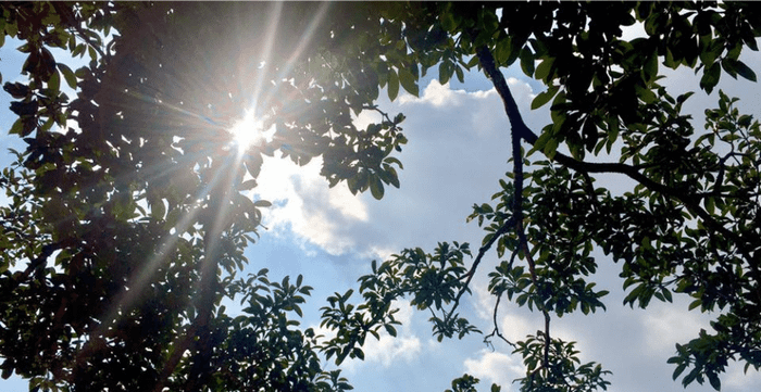 Đã đến Yên Bái, không thể không nhớ lại những trải nghiệm tuyệt vời tại Tà Chì Nhù 6