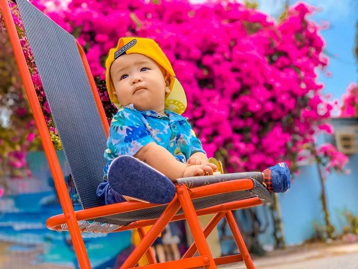 Chiêm ngưỡng sự hòa quyện giữa sức mạnh và sự dịu dàng của mùa hoa giấy Vũng Tàu - Vẻ đẹp tinh tế và mạnh mẽ của loài hoa nắng gió 9