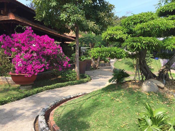Thưởng thức bữa trưa giữa không gian gần gũi với thiên nhiên tại nhà hàng hải sản Vạn Chài 3