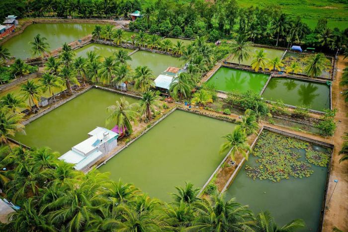 Khám phá Khu sinh thái dã ngoại Suối Giàu - điểm nóng ở Châu Đức
