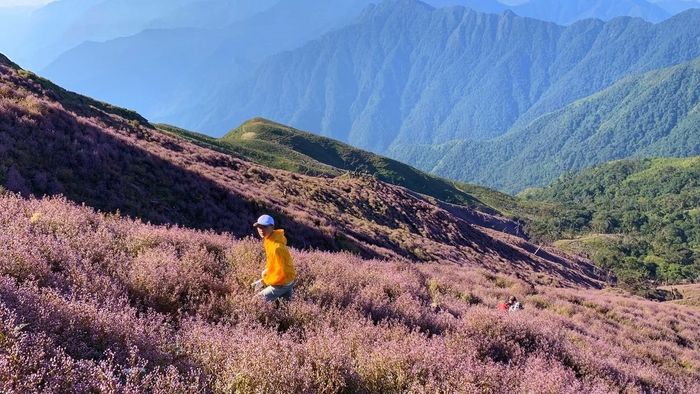 Chương trình trekking Tà Chì Nhù 3 ngày 2 đêm - Đỉnh núi cao thứ 7 Việt Nam