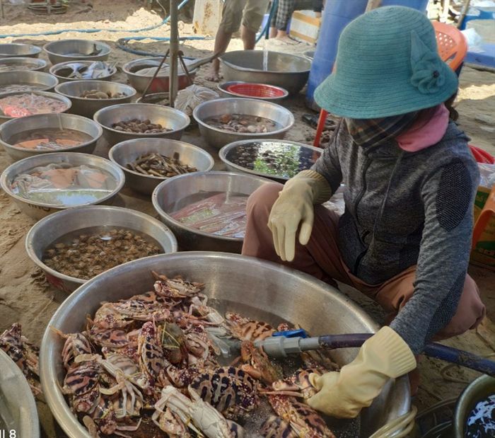Hãy nhớ ghi lại 9 địa chỉ mua hải sản tươi sống Vũng Tàu dành cho những người đam mê ẩm thực.