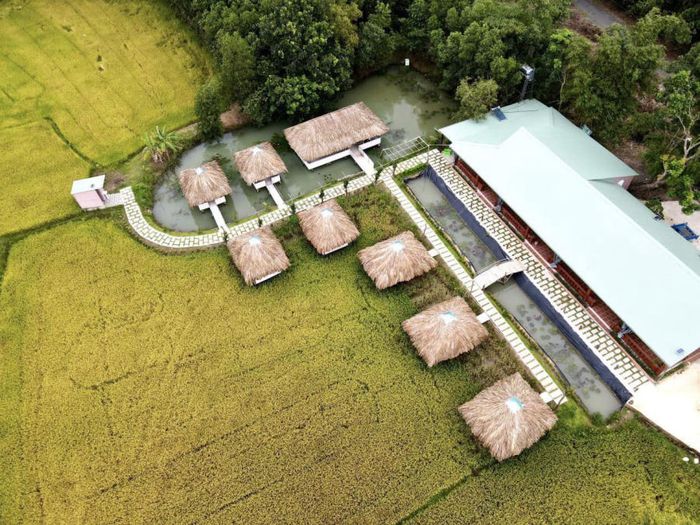 Có một Cánh đồng gió ở Xuyên Mộc, giống như một phiên bản nhỏ của Maldives, nơi bạn có thể tận hưởng vẻ đẹp tuyệt vời.
