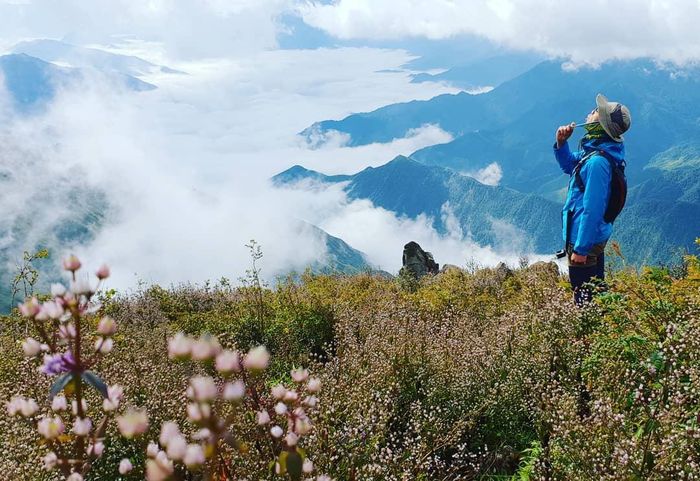 Lịch trình trekking Tà Chì Nhù 2N1Đ - Chinh phục đỉnh Yên Bái 2