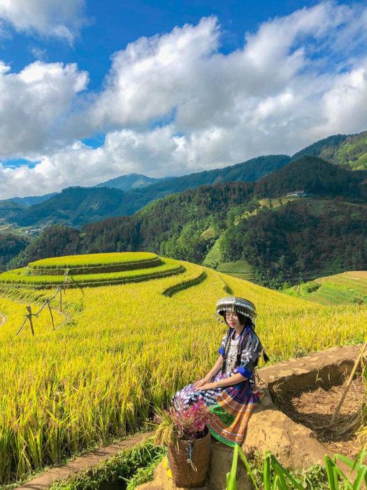 Chinh phục Mù Cang Chải 2N1Đ vào mùa vàng, cảnh sắc đẹp như tranh vẽ.