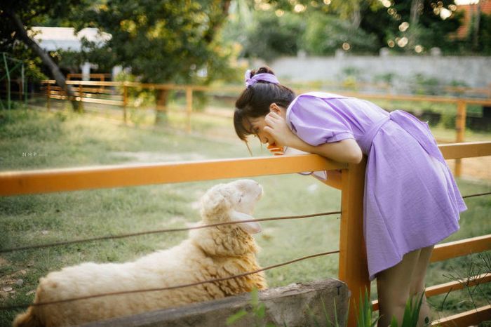 Trải nghiệm cuộc sống nông thôn tại Greenfield Farmstay