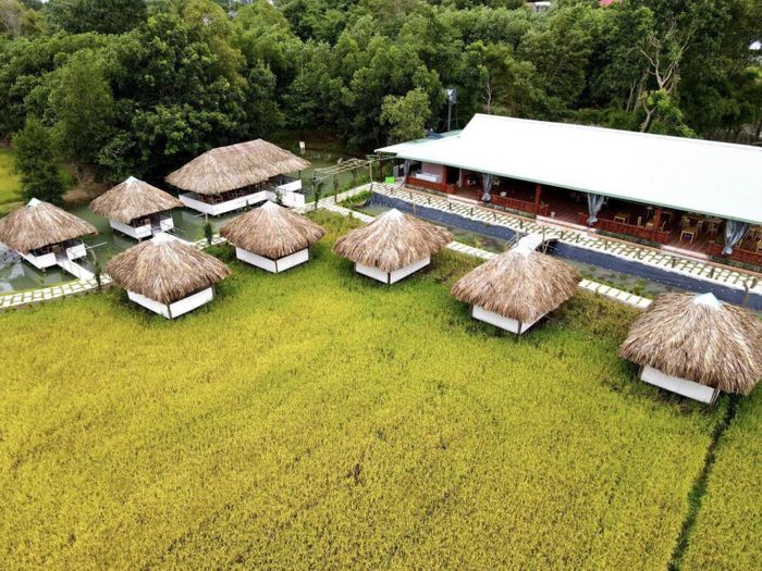 Có một Cánh đồng gió ở Xuyên Mộc, giống như một phiên bản nhỏ của Maldives, nơi bạn có thể tận hưởng vẻ đẹp tuyệt vời.