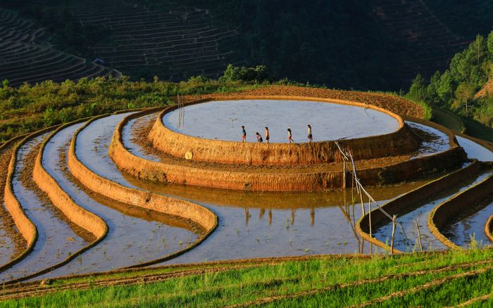 Rò rỉ bí mật chi tiết về Kinh nghiệm du lịch Tú Lệ tự túc 3