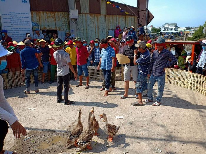 Khám phá sự đẹp của văn hóa biển từ Lễ hội Nghinh Ông Vàm Láng ở Tiền Giang vào ngày thứ mười một