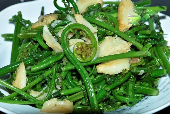 Hương vị đặc trưng của Rau dớn Mường Lò trong vùng núi Tây Bắc