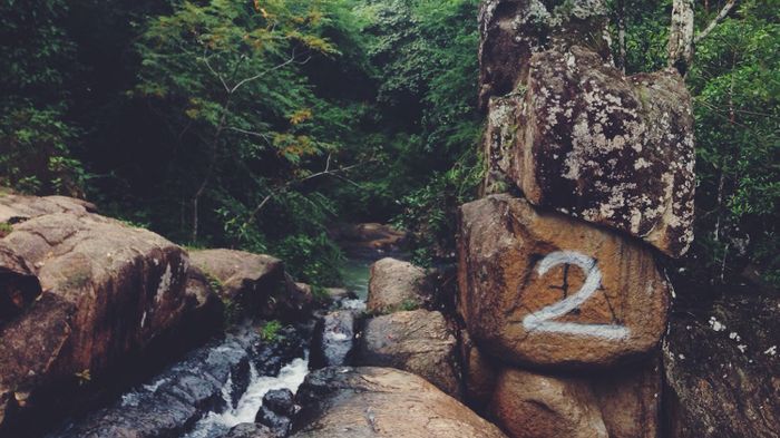 Núi Dinh Vũng Tàu: Điểm đến lý tưởng cho chuyến trekking đầu tiên