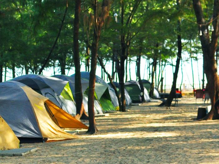 Bí quyết khi tự túc đi cắm trại tại Vũng Tàu từ A đến Z 8