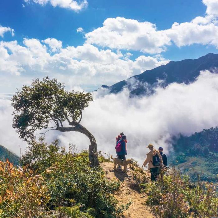 Khám phá hành trình trekking Lùng Cúng Yên Bái, một điểm đến độc đáo giữa rừng già