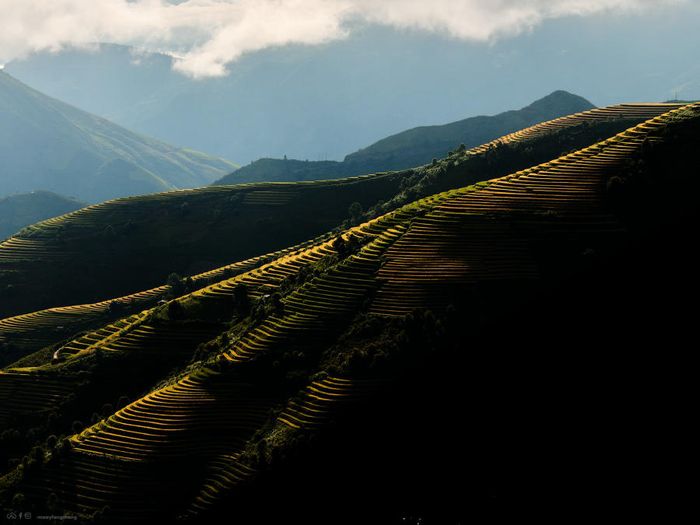 Khám phá vẻ đẹp tuyệt vời của mùa vàng tại Xím Vàng, chỉ cách Tà Xùa 18km.