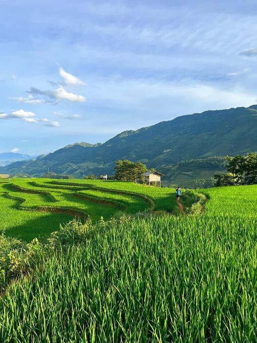 Khám phá vẻ đẹp thanh bình và hùng vĩ của Mù Cang Chải, Tây Bắc 5