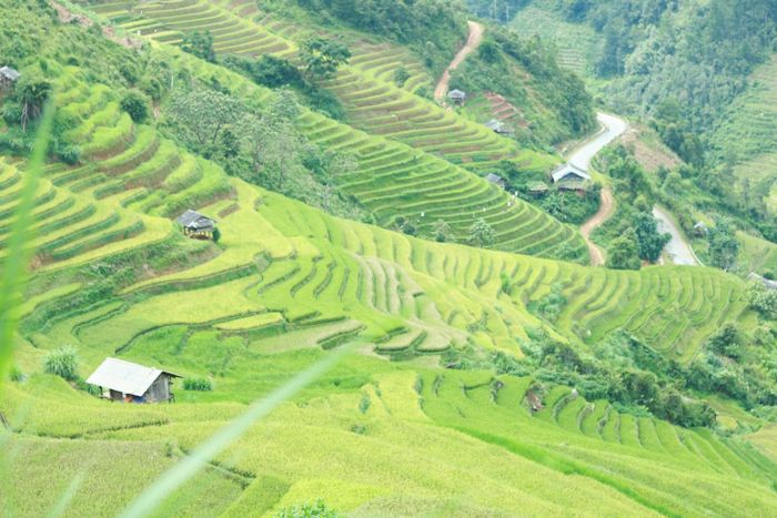 Đánh giá Mù Cang Chải - Khám phá linh hoạt không gò bó về thời gian