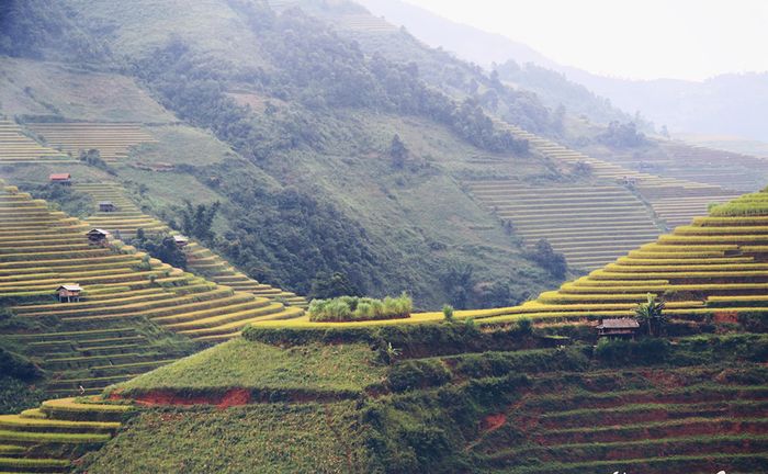 Bí kíp du lịch Yên Bái cho những người yêu thích khám phá